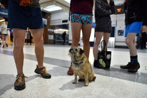 <p>Londres, Inglaterra</p>