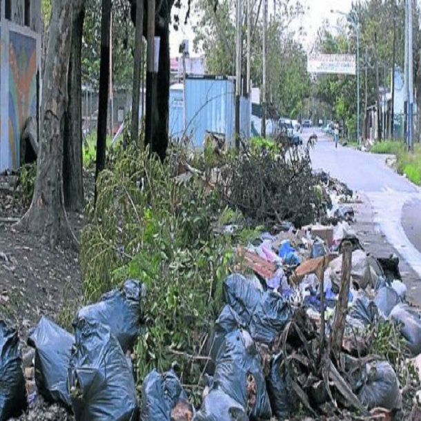 imagen ilustrativa<br>