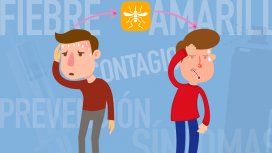 Las claves de la fiebre amarilla: contagio, síntomas y prevención Las claves de la fiebre amarilla: contagio, síntomas y prevención