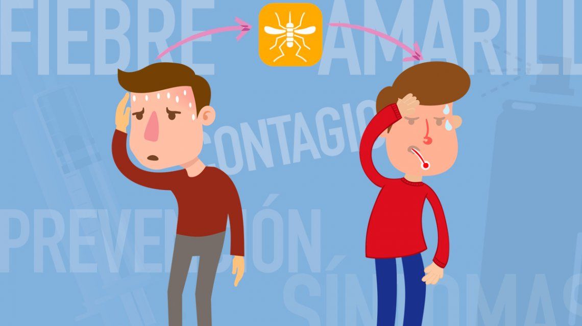 Que sintomas tiene la fiebre amarilla