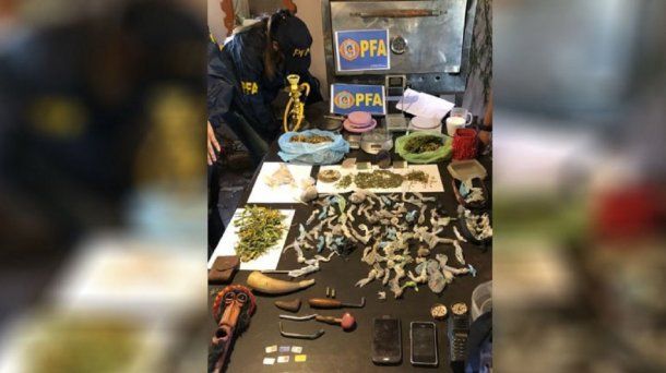 Mamá mono tenía 200 plantas de marihuana de más de 2 metros cada una