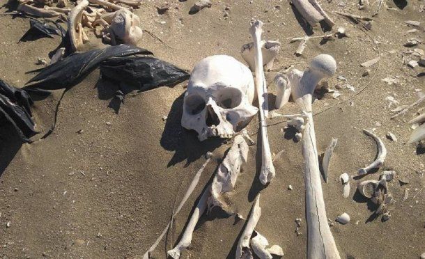 Los esqueletos encontrados en Playa Colombo datan de hace 3 mil años