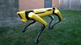 ¿Es el futuro? El perro robot que revoluciona al mundo: abre la puerta y la sostiene para permitir el paso ¿Es el futuro? El perro robot que revoluciona al mundo: abre la puerta y la sostiene para permitir el paso