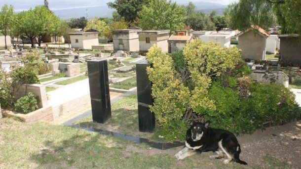 Murió Capitán, el perro que visitaba la tumba de su amo - Crédito: La Voz