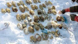 Macabro: encuentran 27 pares de manos en un río congelado Macabro: encuentran 27 pares de manos en un río congelado