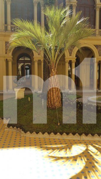 Foto: Liliana Franco (Ámbito Financiero)