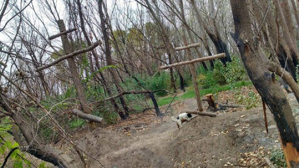 <div>Misterioso ritual en una chacra de Neuquén - Facebook Mariano Nicolas Pamich</div><div><br></div>