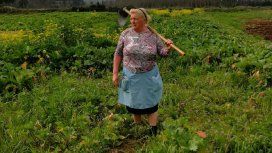 Dolores Leis, la mujer parecida a Trump Dolores Leis, la mujer parecida a Trump