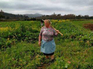 Dolores Leis, la mujer parecida a Trump Dolores Leis, la mujer parecida a Trump