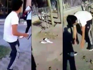escandalo en san juan por el video de un grupo de estudiantes que maltratan a una paloma escandalo en san juan por el video de un grupo de estudiantes que maltratan a una paloma