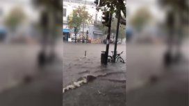 Así fue el temporal de este viernes por la tarde en La Plata Así fue el temporal de este viernes por la tarde en La Plata