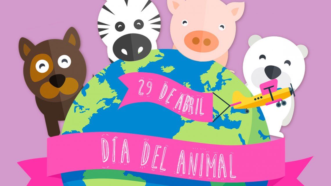 Dia Del Animal Argentina : Día del Animal: ¿cómo cuidar a las mascotas durante la ...