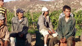 Trabajadores mexicanos son los que más sufren la explotación laboral Trabajadores mexicanos son los que más sufren la explotación laboral