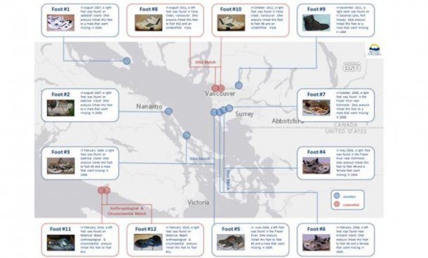 Esquema de los hallazgos (Policía Montada Real de Canadá)