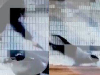 La mujer fue acorralada por su ex cuando iba hacia su trabajo La mujer fue acorralada por su ex cuando iba hacia su trabajo