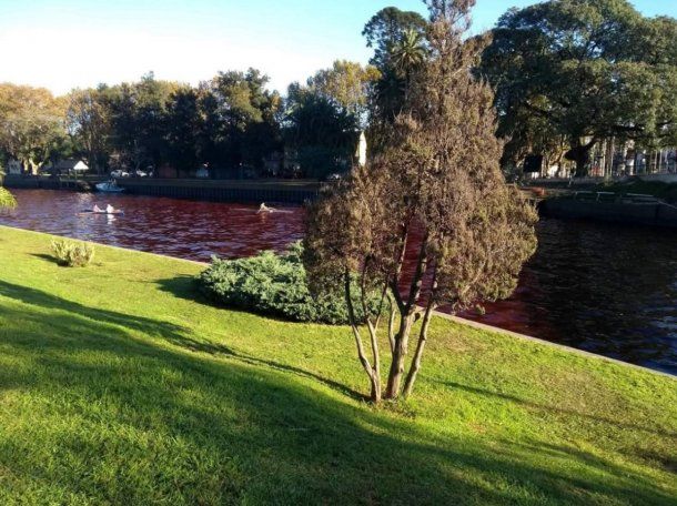 Agua roja en el Delta de Tigre - Crédito: @AgusAlvareeez