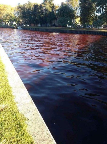 Agua roja en el Delta de Tigre - Crédito: @AgusAlvareeez
