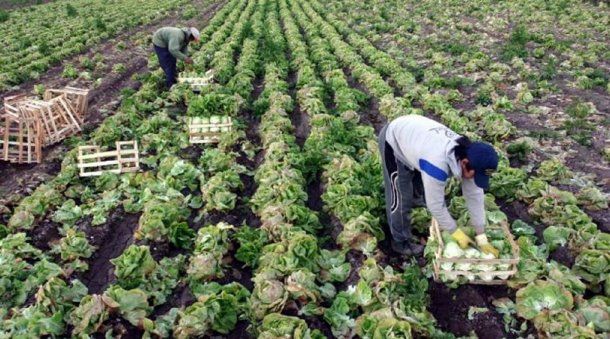 Cambiemos admite que