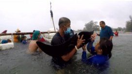 Tailandia: una ballena murió después de tragarse 80 bolsas de plástico Tailandia: una ballena murió después de tragarse 80 bolsas de plástico