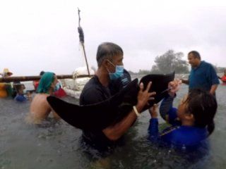 tailandia: una ballena murio despues de tragarse 80 bolsas de plastico tailandia: una ballena murio despues de tragarse 80 bolsas de plastico