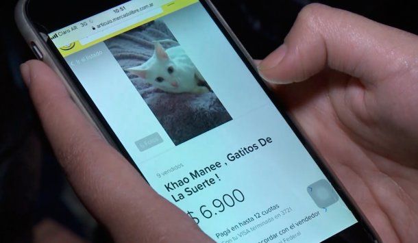 Así los vendí a través de Internet