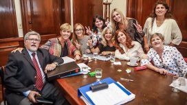 Los senadores del FPV apoyan la despenalización del aborto Los senadores del FPV apoyan la despenalización del aborto