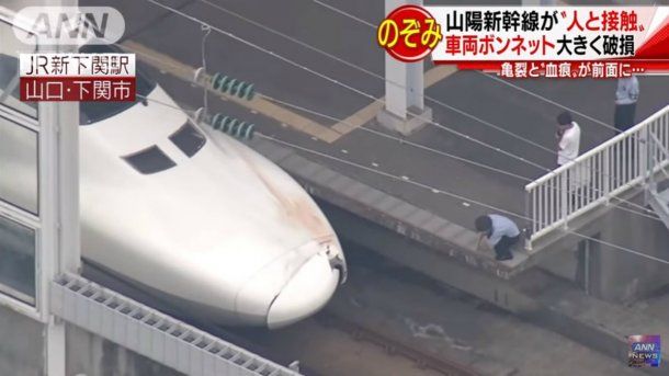 El conductor tardó en reportar el accidente porque pensó que se había llevado puesto a un animal pequeño