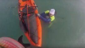 Prefectura rescató a dios kayakistas atrapados en el mar Prefectura rescató a dios kayakistas atrapados en el mar