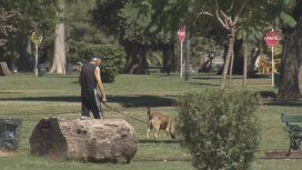 Identificaron a la mujer acusada de envenenar 20 perros en el Parque Avellaneda Identificaron a la mujer acusada de envenenar 20 perros en el Parque Avellaneda