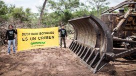 Greenpeace denunció al primo del jefe de Gabinete por desmontes en Salta Greenpeace denunció al primo del jefe de Gabinete por desmontes en Salta