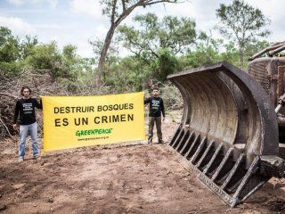 Greenpeace denunció al primo del jefe de Gabinete por desmontes en Salta Greenpeace denunció al primo del jefe de Gabinete por desmontes en Salta