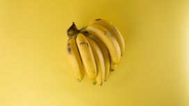Aseguran que los contenedores plásticos de la comida achican el pene Aseguran que los contenedores plásticos de la comida achican el pene