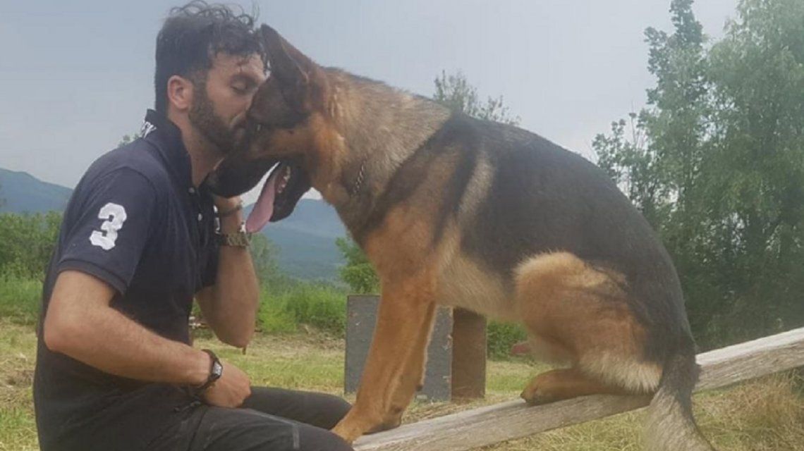 Envenenaron al perro héroe que rescató varias personas en el terremoto de Italia