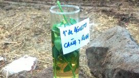 ¿Por qué este miércoles hay que tomar caña con ruda? ¿Por qué este miércoles hay que tomar caña con ruda?