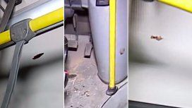 Así quedó el colectivo de la línea 84 asaltado en Ciudadela Así quedó el colectivo de la línea 84 asaltado en Ciudadela