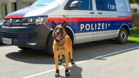 La policía canina de Zúrich, en Suiza, anda en botas por el calor del asfalto La policía canina de Zúrich, en Suiza, anda en botas por el calor del asfalto