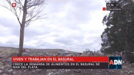 Así viven y trabajan en el basural del Mar del Plata Así viven y trabajan en el basural del Mar del Plata