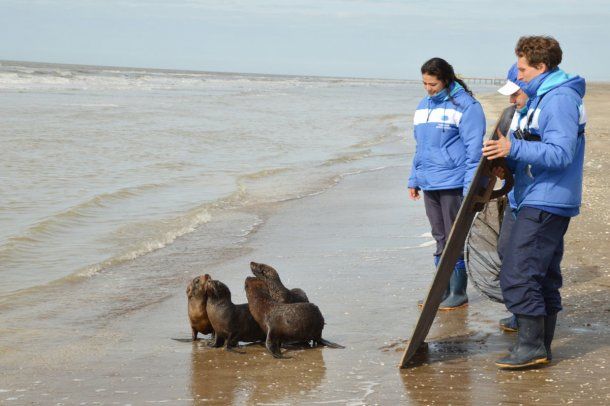 No estaban muy seguros al principio, pero en seguida entraron en el agua