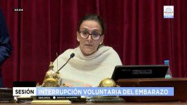 Michetti mira el reloj cada dos por tres en la recta final de la sesión histórica del Senado Michetti mira el reloj cada dos por tres en la recta final de la sesión histórica del Senado