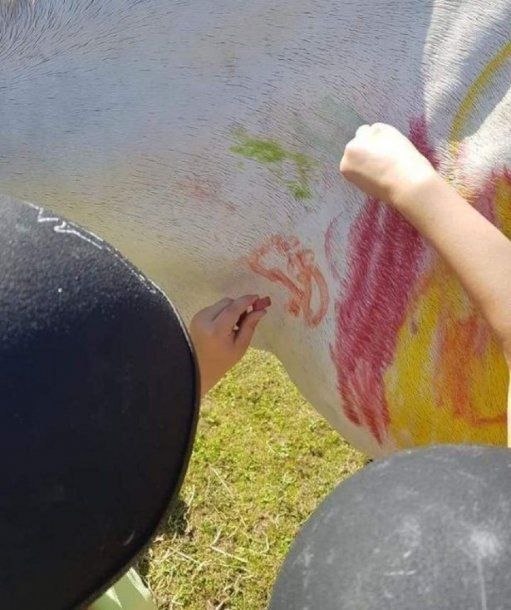 Pintan caballos en fiestas de cumpleaños