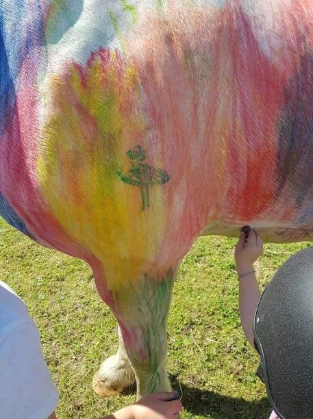 Pintan caballos en fiestas de cumpleaños