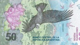El cóndor patagónico, el nuevo protagonista de los billetes de 50 pesos El cóndor patagónico, el nuevo protagonista de los billetes de 50 pesos