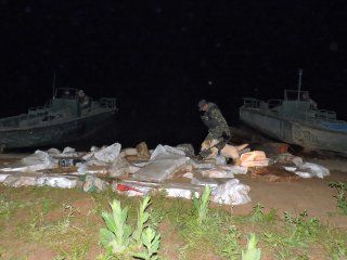 operativo jumanji: secuestraron casi dos toneladas de marihuana en la selva misionera operativo jumanji: secuestraron casi dos toneladas de marihuana en la selva misionera