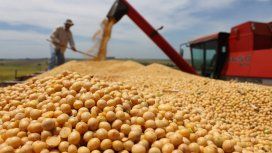Se desploma el precio internacional de la soja y complica a la Argentina Se desploma el precio internacional de la soja y complica a la Argentina