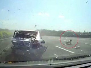 Un nene se salvó de milagro de un brutal choque Un nene se salvó de milagro de un brutal choque