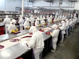 Trabajadores de frigoríficos Trabajadores de frigoríficos