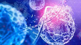 Uno de cada cinco argentinos desarrollará algún tipo de cáncer a lo largo de su vida Uno de cada cinco argentinos desarrollará algún tipo de cáncer a lo largo de su vida