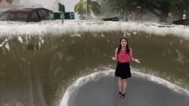 La animación de The Weather Channel se volvió viral La animación de The Weather Channel se volvió viral