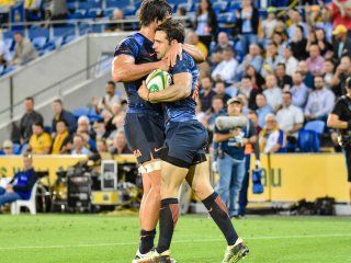 los pumas le ganaron a australia 23 a 19 los pumas le ganaron a australia 23 a 19