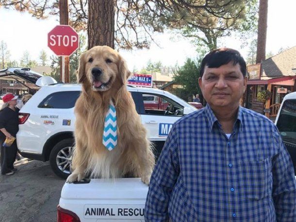 Un perro, elegido como alcalde de Idyllwild, California - Crédito: Facebook Mayor Max